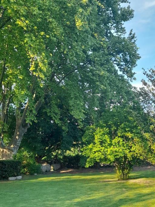 Montjoia Le Gite Bleu Le Thor Dış mekan fotoğraf